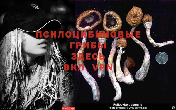 винт Дмитров