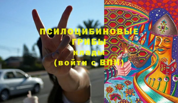 альфа пвп Гусиноозёрск
