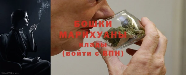 винт Дмитров