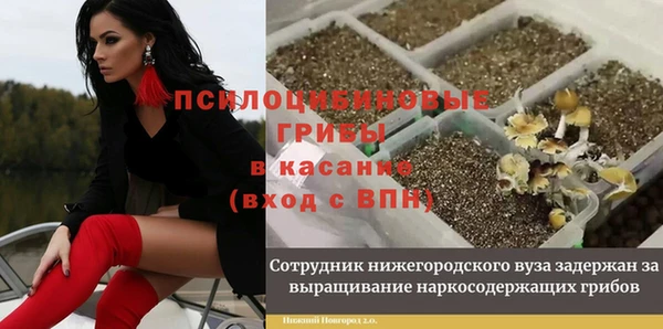 альфа пвп Гусиноозёрск