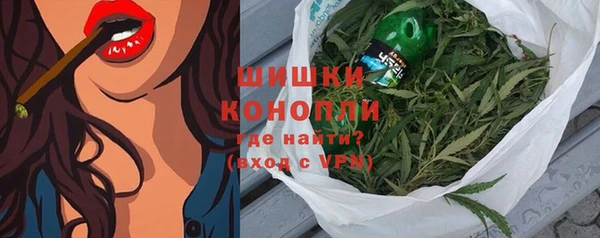 бошки Гусев