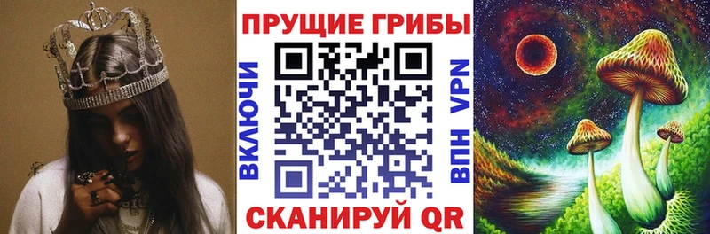 Псилоцибиновые грибы мухоморы  Купить закладки  Кириши 